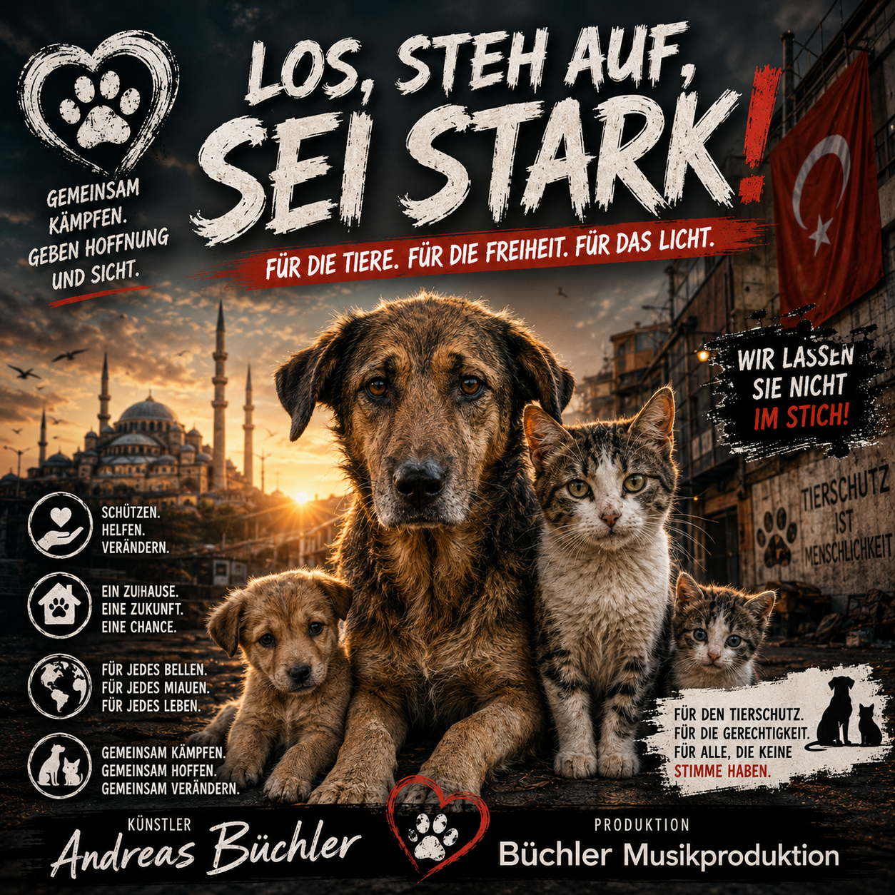 Cover von steh auf